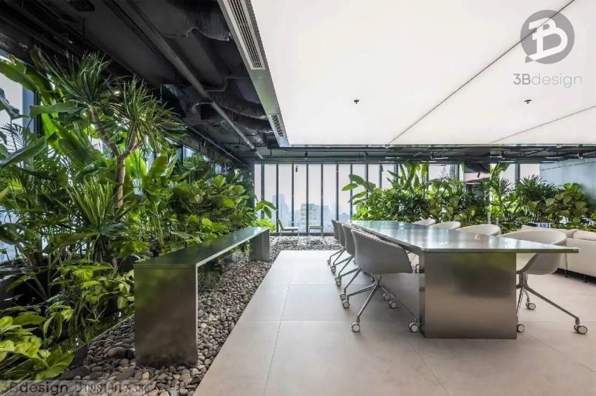 Cây xanh được trồng tại các văn phòng nhiều hơn